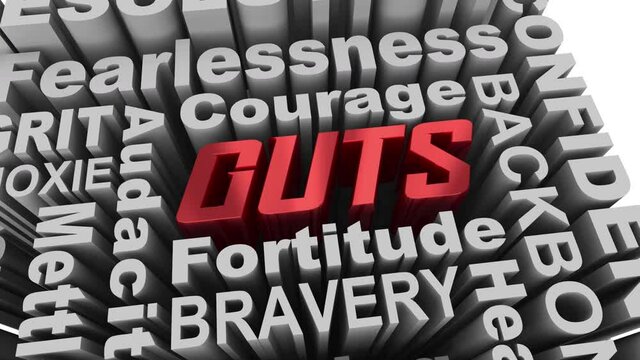 Guts Courage Bravery Mettle Fearless Qualities Words 3d Animation