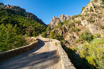 Fototapeta na wymiar Gorges de Spelunca, Korsika