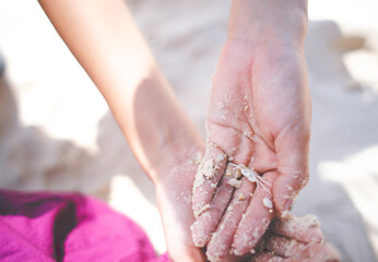 手のひらの上の白い小さいカニ