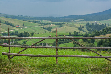 vineyard in the summer rainy day in mountains