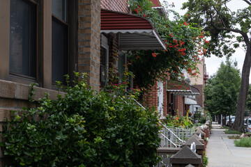 Fototapeta na wymiar Row of Beautiful Old Brick Homes along an Empty Sidewalk in Astoria Queens New York during Summer