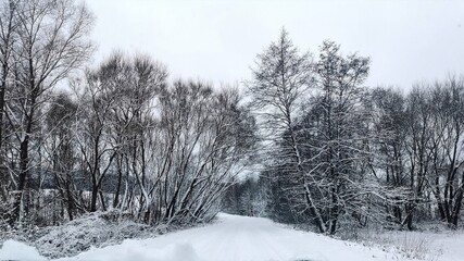 Winter in the village