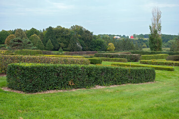 hedges trees and hills