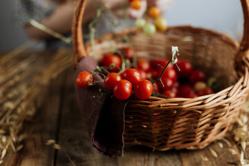 Basket with red tomatoes