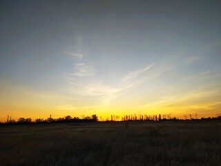 sunset over the field