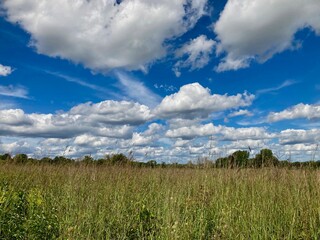 Fototapeta premium cloudscape over grass and sky
