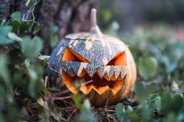 Calabaza con forma de cara siniestra iluminada por dentro de halloween