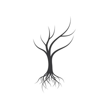 Tree Without Leaf  Icon Template Vector