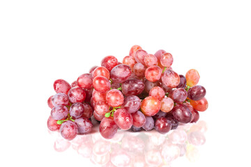 Ripe red grapes large bunch of fruits on white background