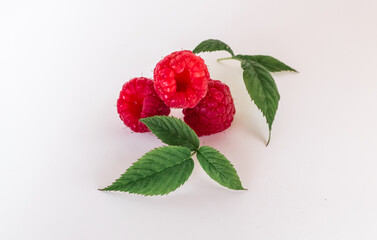 a couple of raspberries with green stems on a white background