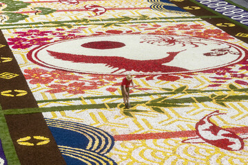 Flower carpet on the Grand-place, celebrating the friendship between Belgium and Japan in Brussels,...