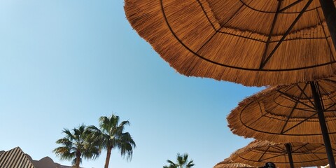 Fototapeta premium beach with umbrella