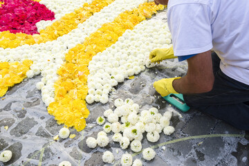 Flower carpet on the Grand-place, celebrating the friendship between Belgium and Japan in Brussels,...