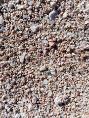 pebbles on the beach