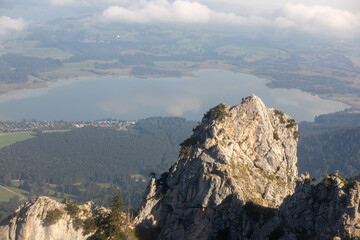 Blick auf Forggensee