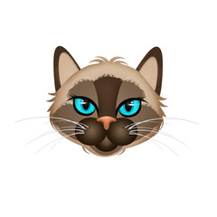 Fototapeta premium illustration of siamese kitten face