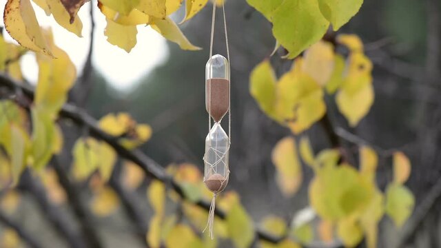 Sand clock jn the autumn leaves in the forest