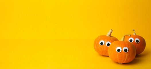 Autumn pumpkins on a yellow banner background. Concept for Autumn, Harvest, Halloween and Thanksgiving. Pumpkin Dishes