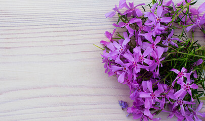 Background for a postcard of small lilac flowers on a beautiful wooden background