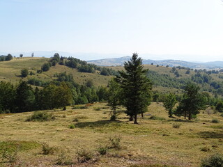 landscape in the mountains
