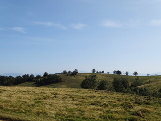 Fototapeta premium landscape with bales