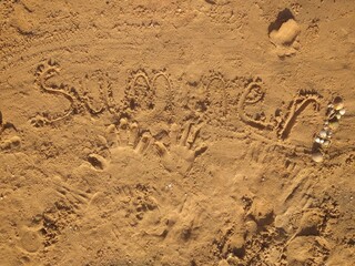 tracks in sand