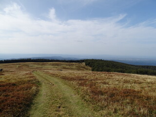 Fototapeta premium road to the sea