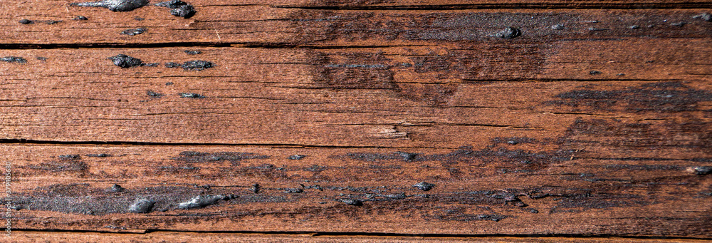 Wall mural old wood texture brown wall