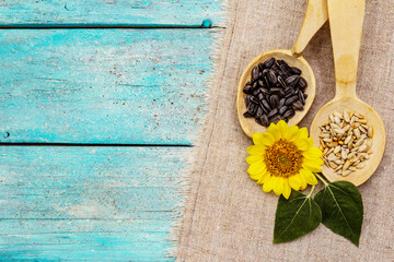 Whole and peeled sunflower seeds, sea salt with head flower in wooden spoons