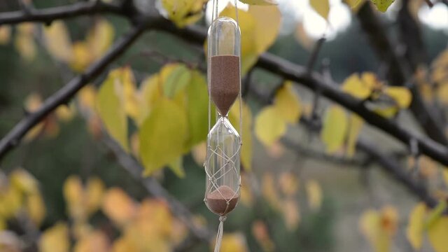 Sand clock jn the autumn leaves in the forest