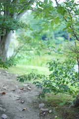 軽井沢の風景