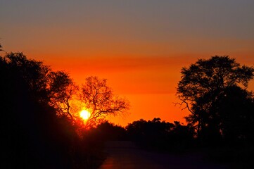 Picturesque fiery sunset over african savanna, Kruger national park, South Africa