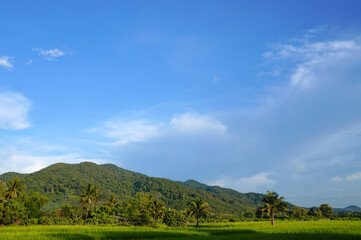 Fototapeta premium Green mountains, blue sky and beautiful background