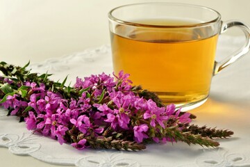 Cup of tea and flowers of lythrum  on a white table close-up.