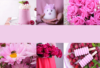 Collage with shades of pink color. Collage kit with flowers and desserts for interior or web design. Copy space
