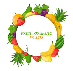 Fresh organic fruits isolated on white background concept. Vector illustration