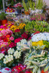 Blumenmarkt, Mallorca