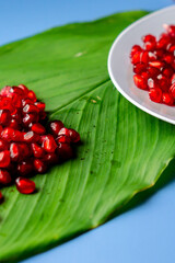 Pomegranate Close-up photograph