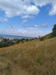 Naklejka premium view of the river