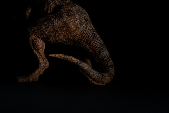 D&eacute;tails de dinosaure dans la p&eacute;nombre