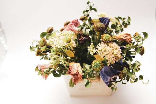Dried flowers aesthetic. Collection of various flowers in a bouquet.