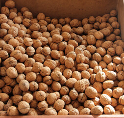 fresh and organic nuts with plenty of vitamins