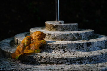 Fallen leaf on a sundial in an autumn morning