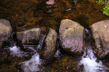 The beauty of nature and life...