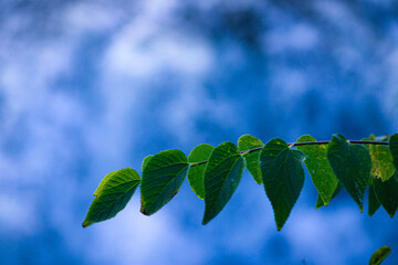 The beauty of nature and life...