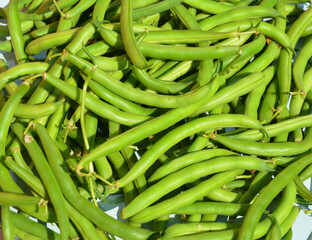 A lot of raw green beans on the plate.  Fresh vegetables background.