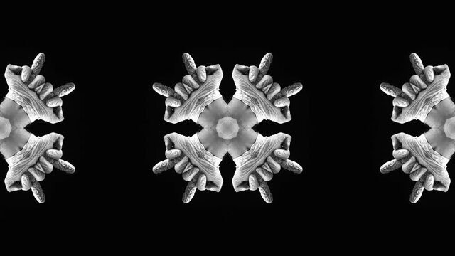 kaleidoscope looping fuck you corona virus sanatizing hand relaxing middel finger mandala