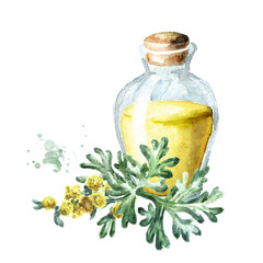 Sprig of medicinal plant wormwood and essential oil, Hand drawn watercolor illustration isolated on white background
