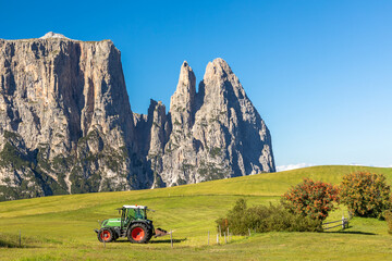 Auf der Seiser Alm, Alpe di Siusi, mit Blick auf den Schlern, Sciliar, Südtirol © nemo1963