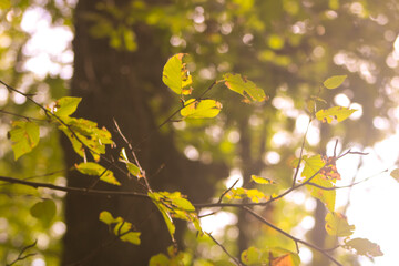 The beauty of nature and life...